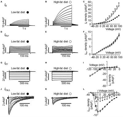 Differential Modulation of IK and ICa,L Channels in High-Fat Diet-Induced Obese Guinea Pig Atria